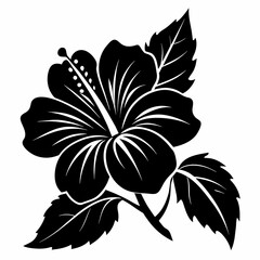 hibiscus flower vector silhouette illustration