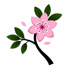 2d flat color silhouette vector of a cherry blossom flower