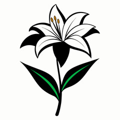 2d flat color silhouette vector of a lily flower