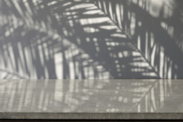 Wall with palms shadows and desk of empty space for your decoration. 