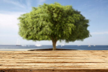 Desk of free space and summer tree with landscape of sea. 