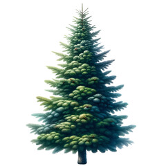 Fototapeta premium Cute green christmas tree clip art with decorations on transparent background