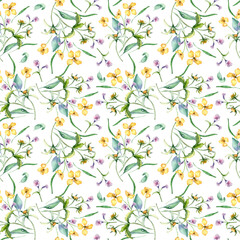 Yellow, blue meadow wild flowers in watercolor seamless pattern isolated on white. Celandine and bur marigold medicinal plant in sketch. Floral print hand drawn. Design for package, textile, wrapping