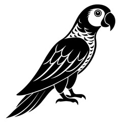 Parrot icon vector silhouette illustration on white background