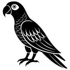 Parrot icon vector silhouette illustration on white background