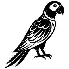 Fototapeta premium Parrot icon vector silhouette illustration on white background