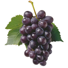 Fototapeta premium A close-up image of a fresh, juicy purple grape cluster with green leaf. Perfect for fruit, agriculture, and food-related themes.