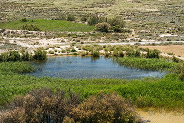 A refreshing oasis in the arid landscape of Las Bardenas Reales, Spain, surrounded by lush vegetation and clear blue water, providing a striking contrast to the dry, rugged terrain.
