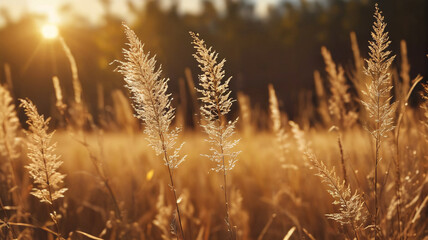 Fototapeta premium Rustic Charm: Dry Grass Bunches Amidst Shimmering Golden Bokeh, Generative AI