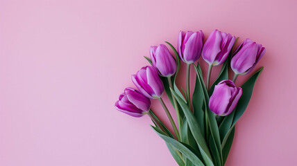 Obraz premium Purple tulips on a pastel seafoam green background with plenty of space for copy
