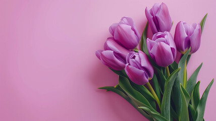 Obraz premium Purple tulips on a pastel seafoam green background with plenty of space for copy