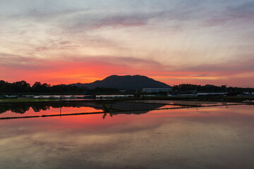 house and village scenery reflected in the rice fields received for rice farming