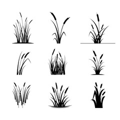 Icon set. Grass weeds vector illustration.