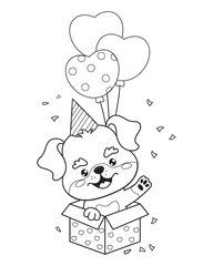 Happy puppy with in birthday cap with balloons in gift box. Outline holiday cartoon kawaii character animal dog Rottweiler. Line drawing, coloring book. Vector illustration. Kids collection.