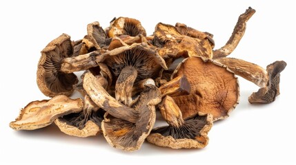 dried mushrooms on white background. concept of food ingredient for designer.