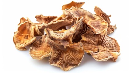 dried mushrooms on white background. concept of food ingredient for designer.