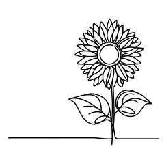 black and white sunflower line art vector