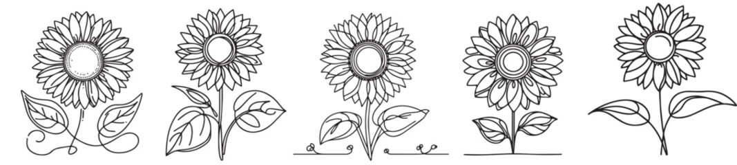 line art sunflower graphic design collection