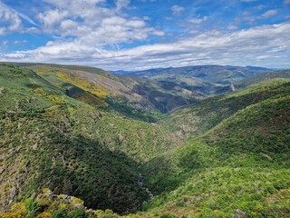 Obraz premium Steep vineyards of Ribeira Sacra, Rias Baixas, Galicia, Spain - heoric viticulture above the Rio Sil and Mino river