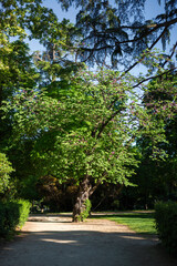 “Eco-Friendly Transportation Concept: City Bike Lane with Copy Space, Flat Lay Composition”