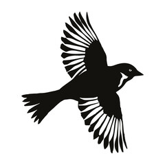 Naklejka premium Bird silhouette