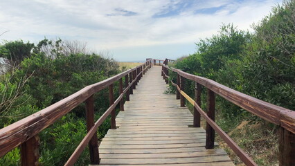 Pathway to the beach, POV of person walking towards ocean