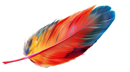 A single brightly colored bird feather against a white background