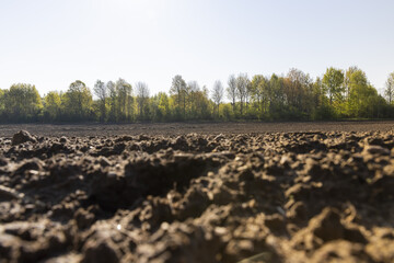preparing the soil for sowing in spring