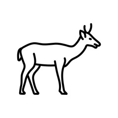 Deer Outline Icon, Vector illustration