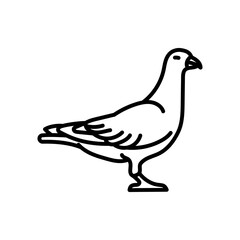 Pigeon Outline Icon, Vector illustration