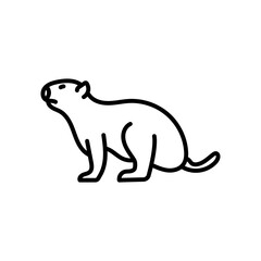 Fototapeta premium Prairie Dog Outline Icon, Vector illustration