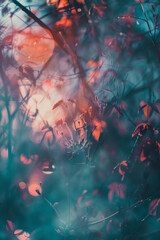 Subtle light leaks in a modern color palette, creating an ethereal background.