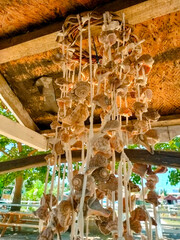 Decorative seashells hung on the thin ropes in the park on a sunny summer day.