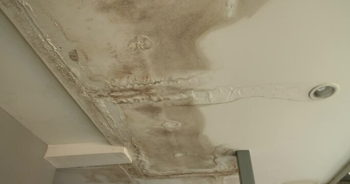 Ceiling panels with fungus outside house from water pipes damaged or rainy leaked. Office building or house problem for house service.