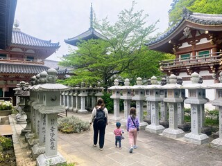 A family exploring the gardens and statues of the ancient Buddhist temple, Tsubosakadera, on a beautiful spring day in Takatori, Japan.