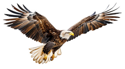 Naklejka premium Bald eagle in flight against a white background