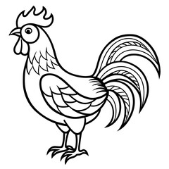 rooster isolated on white