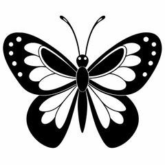 butterfly illustration