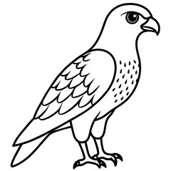 dove of peace in bangladesh