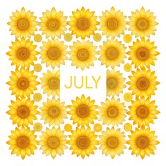 summer july text on the center of the frame of sunflowers isolated on white background