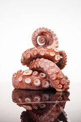 Frozen octopus on a white background on a marble table. Raw iced seafood. Selective focus.