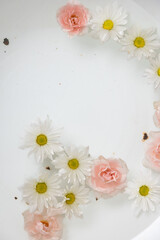 flower in milk bath with lots of petals