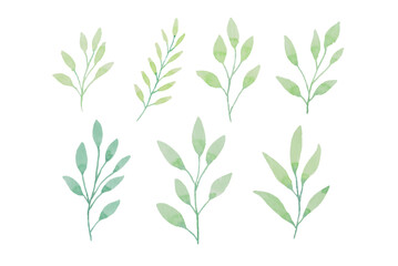 Assortment of watercolor leaves illustration set - green leaf branches collection for wedding, greetings, stationary, wallpapers, fashion, background. olive, green leaves, Eucalyptus etc