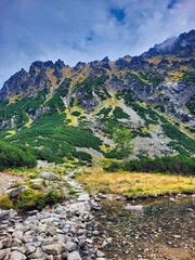 Obraz premium Mountain hiking in summer vacations. Green valley and blue hills. Beautiful mountain landscape,. Wonderful spring landscape in the mountains with a flowering trees. European natural countryside