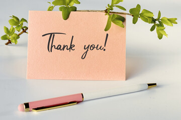 Thank You Card with Pen and Green Branch on White Background for Appreciation and Gratitude.