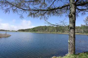 春の女神湖，長野県
