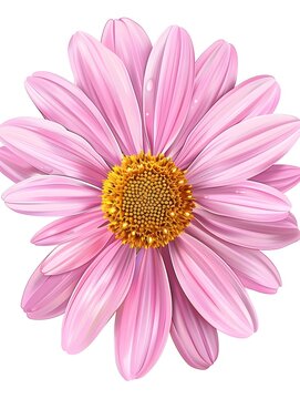 Vibrant Pink Aster Flower with Yellow Center in Botanical Background