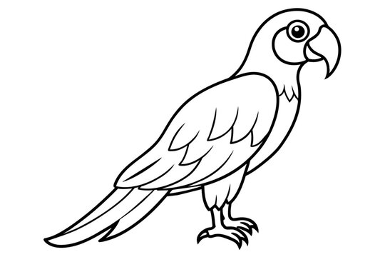 recommend clip art: macaw bird line art silhouette vector illustration