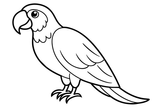 recommend clip art: macaw bird line art silhouette vector illustration