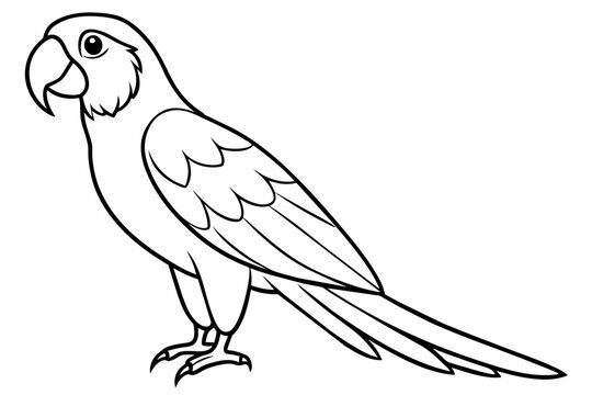 recommend clip art: macaw bird line art silhouette vector illustration